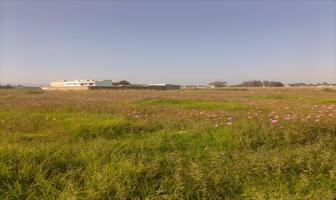 Foto de inmueble en  , Col. Lindavista C.P. 51356, Zinacantepec