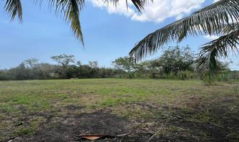 Foto de inmueble en  , Col. Llano de Bustos C.P. 92085, Ozuluama de Mascareñas