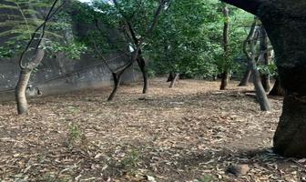 Foto de inmueble en Lluvia, Col. Jardines del Pedregal C.P. 01900, Álvaro Obregón