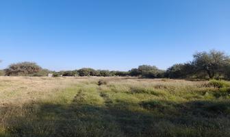 Foto de inmueble en  , Col. Los Gómez C.P. 78438, Soledad de Graciano Sánchez