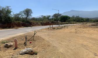 Foto de inmueble en  , Col. Los Rodriguez C.P. 67300, Santiago