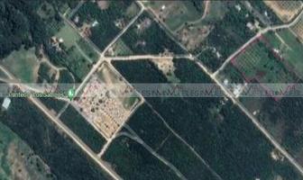 Foto de inmueble en  , Col. Los Sabinos (Sabinos de Abajo) C.P. 67353, Allende