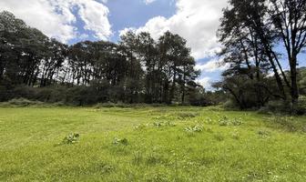 Foto de inmueble en , Col. Los Saúcos C.P. 51200, Valle de Bravo