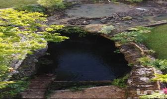 Foto de inmueble en Lote 14, Col. Leona Vicario C.P. 77590, Puerto Morelos