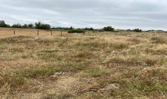 Foto de inmueble en Lote, Col. El Porvenir C.P. 22755, Ensenada