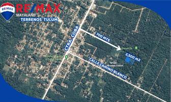 Foto de inmueble en lt 1, Col. Francisco Uh-May C.P. 77796, Tulum
