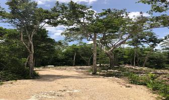 Foto de inmueble en MACARIO GÓMEZ, Col. Macario Gómez C.P. 77796, Tulum