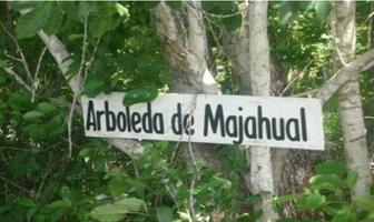 Foto de inmueble en  , Col. Mahahual C.P. 77976, Othón P. Blanco