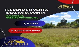 Foto de inmueble en Mamulique, Col. Nuevo Mamulique C.P. 65520, Salinas Victoria