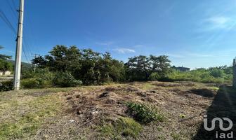 Foto de inmueble en Mangos #79, Col. Alpuyeca C.P. 62790, Xochitepec