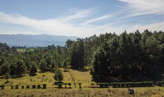 Foto de inmueble en Mesa de Dolores, Col. Mesas de Dolores C.P. 51246, Valle de Bravo