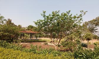 Foto de inmueble en  , Col. Mexquemeca C.P. 62827, Yecapixtla