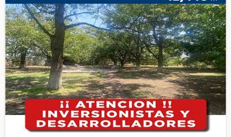 Foto de inmueble en , Col. Miacatlan C.P. 62600, Miacatlán