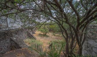 Foto de inmueble en Moctezuma Azteca, Col. San Miguel de Allende Centro C.P. 37700, San Miguel de Allende