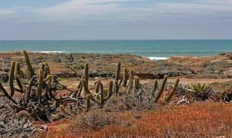 Foto de inmueble en  , Col. Montaña y Mar C.P. 21850, San Felipe