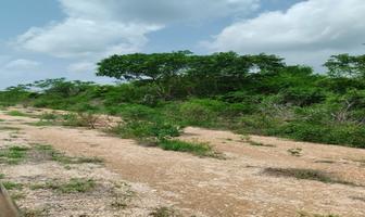 Foto de inmueble en  , Col. Motul de Carrillo Puerto Centro C.P. 97430, Motul