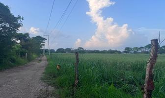 Foto de inmueble en , Col. Negro Yanga C.P. 94930, Yanga