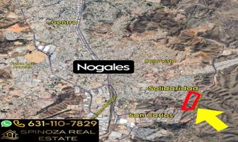 Foto de inmueble en Nogales, Col. El Bellotoso C.P. 84113, Nogales