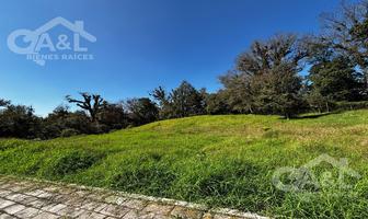 Foto de inmueble en Terreno en Venta  Fraccionamiento Nuevo Coapexpan, Col. Nuevo Coapexpan C.P. 91073, Xalapa