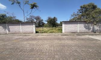 Foto de inmueble en , Col. Nuevo Coapexpan C.P. 91073, Xalapa