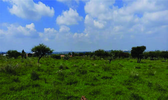 Foto de inmueble en  , Col. Nuevo León C.P. 37208, León
