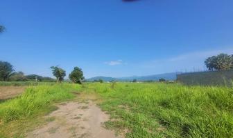 Foto de inmueble en  , Col. Oacalco C.P. 62737, Yautepec