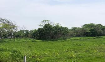 Foto de inmueble en  , Col. Ojital C.P. 92034, Pueblo Viejo
