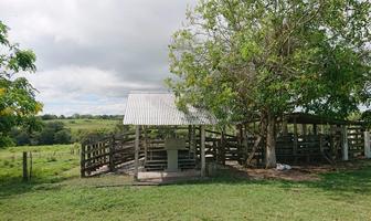 Foto de inmueble en  , Col. Ozuluama de Mascareñas C.P. 92080, Ozuluama de Mascareñas