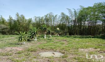 Foto de inmueble en Pajaritos #112, Col. Tres Pasos C.P. 91643, Emiliano Zapata
