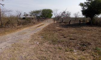 Foto de inmueble en  , Col. Panuco Centro C.P. 93990, Pánuco