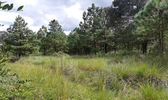 Foto de inmueble en Paraje Cuatro Palos, Col. Cuatro Palos C.P. 43797, Singuilucan