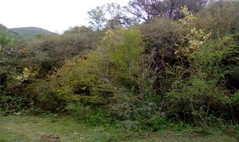 Foto de inmueble en Paseo de Los Cedros #S/D, Col. El Barro C.P. 64997, Monterrey