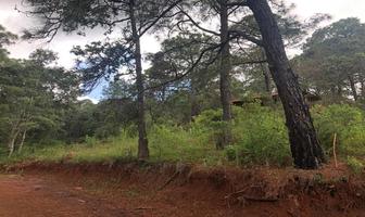 Foto de inmueble en Paseo del Pinar, Col. La Cofradia C.P. 49500, Mazamitla