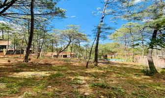 Foto de inmueble en Paseo Las Peñitas, Col. Mazamitla C.P. 49500, Mazamitla