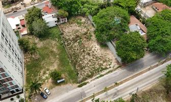 Foto de inmueble en  , Col. Petrolera C.P. 89110, Tampico