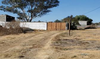 Foto de inmueble en Pino Suárez, Col. San Francisco Tenopalco C.P. 54882, Melchor Ocampo