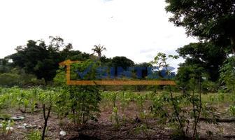 Foto de inmueble en  , Col. Pital Mozutla C.P. 93525, Papantla