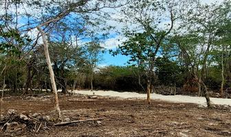 Foto de inmueble en  , Col. Playa Car Fase II C.P. 77717, Solidaridad
