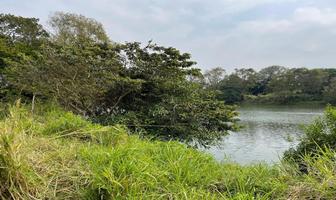 Foto de inmueble en  , Col. Playa de Vacas C.P. 94274, Medellín de Bravo