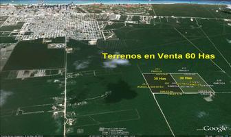 Foto de inmueble en Terreno en Venta, 60 Has, Uso Suelo H3 y Hc5, Playa Carmen ., Col. Playa del Carmen C.P. 77710, Solidaridad