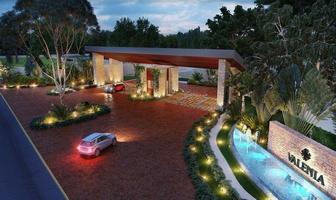 Foto de inmueble en  , Col. Playa del Carmen C.P. 77710, Solidaridad