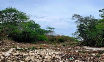 Foto de inmueble en  , Col. Playa del Carmen C.P. 77710, Solidaridad