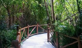 Foto de inmueble en  , Col. Playa del Carmen C.P. 77710, Solidaridad