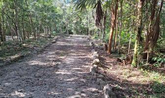 Foto de inmueble en  , Col. Playa del Carmen C.P. 77710, Solidaridad