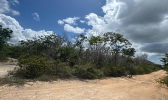 Foto de inmueble en  , Col. Playa del Carmen C.P. 77710, Solidaridad