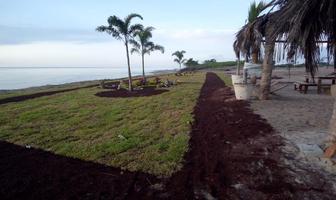 Foto de inmueble en Playa Hermosa, Col. Kilómetro Cien C.P. 92044, Tampico Alto