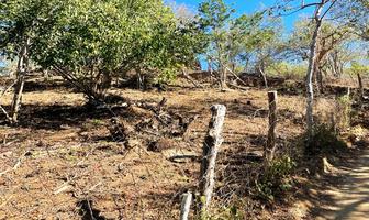 Foto de inmueble en  , Col. Playa Zipolite C.P. 70904, San Pedro Pochutla