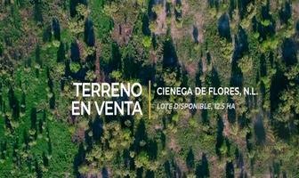Foto de inmueble en  , Col. Portal de las Salinas C.P. 65556, Ciénega de Flores