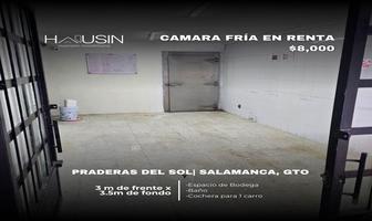 Foto de inmueble en , Col. Praderas del Sol C.P. 36720, Salamanca