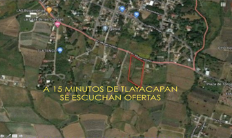 Foto de inmueble en Predio Rústico denominado Totlan, Col. Tlayacapan Centro C.P. 62540, Tlayacapan